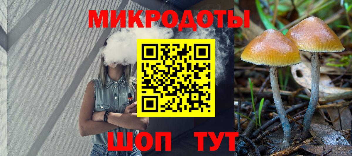Псилоцибиновые грибы прущие грибы Каспийск